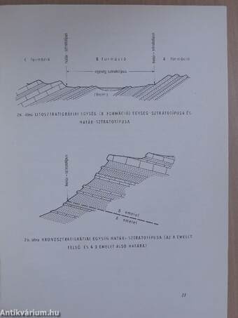 A rétegtani osztályozás, nevezéktan és gyakorlati alkalmazásuk irányelvei