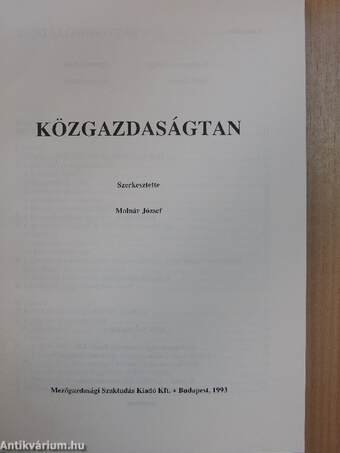 Közgazdaságtan