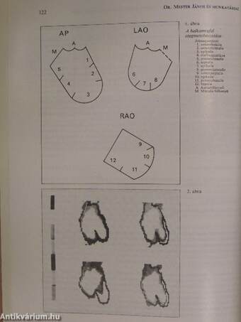 Cardiologia Hungarica 1983/2