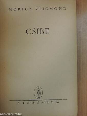 Csibe