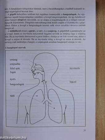 Érettségi témakörök, tételek - Magyar nyelv