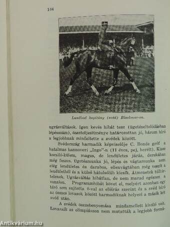 Az 1928. évi IX. amsterdami olimpiász lovasmérkőzései