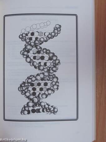 Biológiai feladatok középiskolásoknak