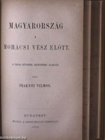 Vitéz János esztergomi érsek élete/Magyarország a mohácsi vész előtt