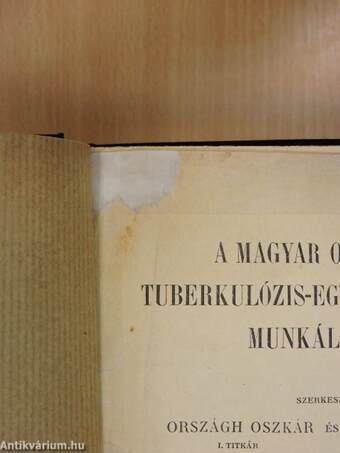 A Magyar Orvosok Tuberkulózis-Egyesületének munkálatai