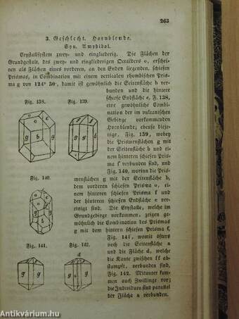 Allgemeine Naturgeschichte für alle Stände 1-14./Abbildungen zu Oken's Naturgeschichte für alle Stände (gótbetűs)