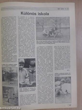 Kistermelők Lapja 1989. (nem teljes évfolyam)