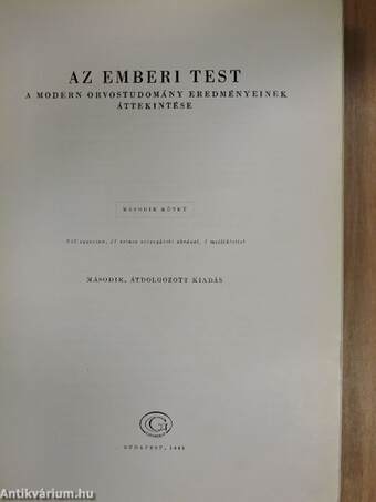 Az emberi test 2. (töredék)