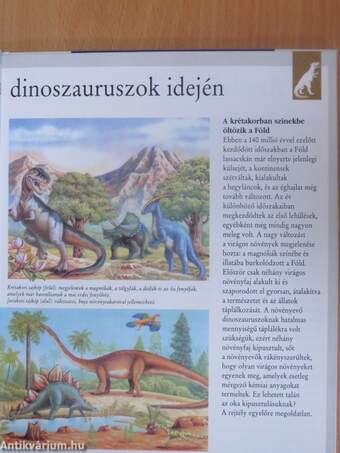 Dinoszauruszok és más kihalt állatok