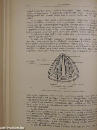 Rendszeres bonctan I-II.