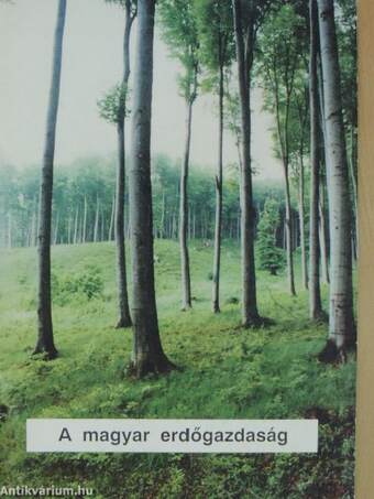 A magyar erdőgazdaság