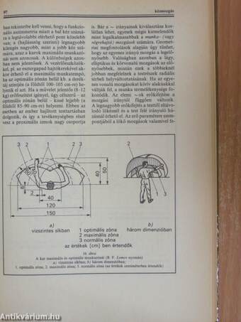 Ergonómiai kislexikon