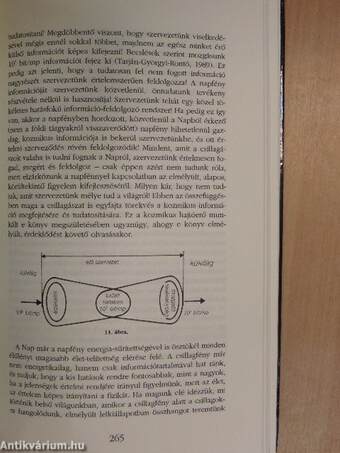 Az Élő Világegyetem könyve