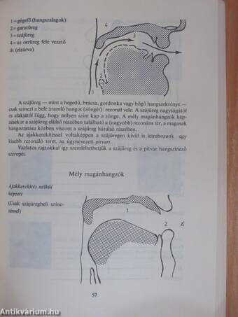 Beszédművelés