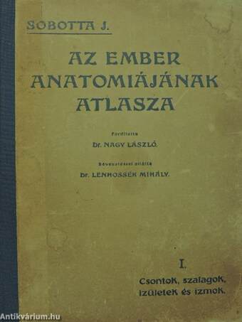 Az ember anatomiájának atlasza I-III.