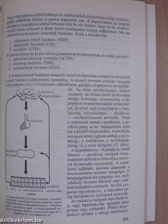 Klinikai ismeretek a belgyógyászat köréből ápolónők részére