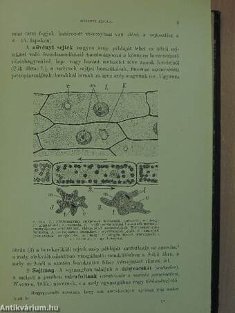 A szövetek és szervek szerkezete és azok vizsgáló módszerei