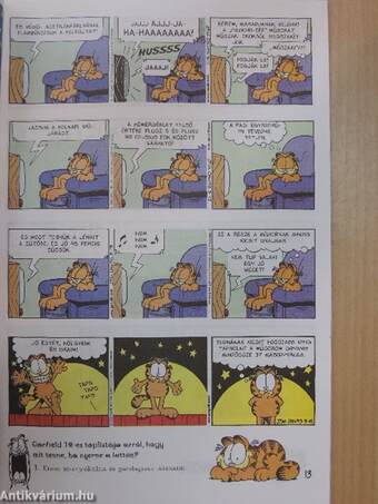 Garfield 2000/2. február