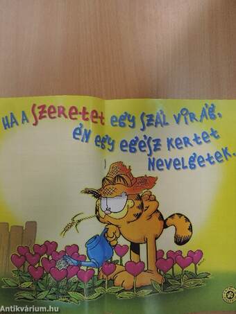 Garfield 2000/2. február