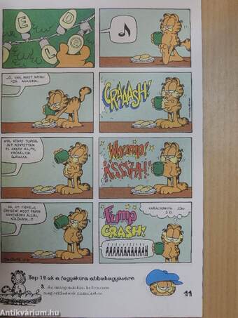 Garfield 1999/11.