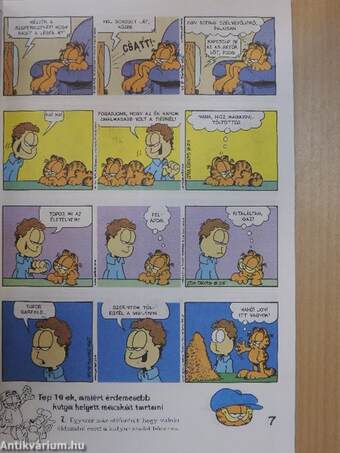 Garfield 1999/8.