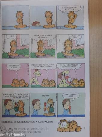 Garfield 2000/3. március