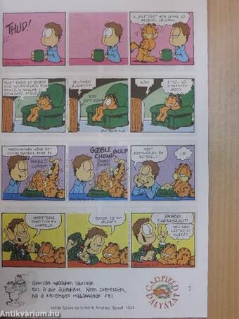 Garfield 1997/5.