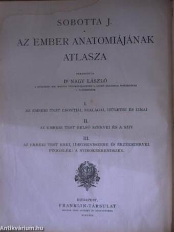 Az ember anatomiájának atlasza I-III.