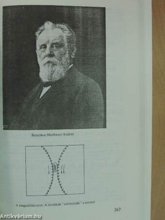 Magyarok a természettudomány és technika történetében II.