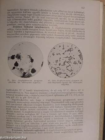 Bakteriologia, immunitástan, parazitologia