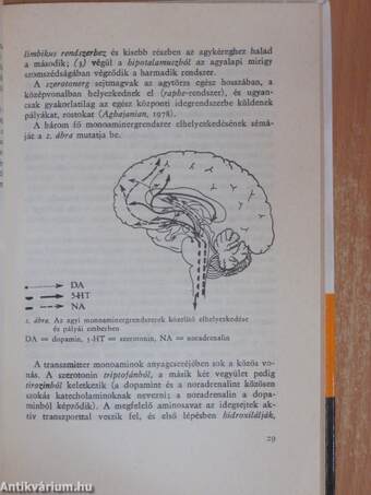 Az alkoholizmus biológiai kutatásának eredményei