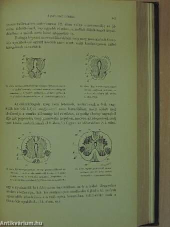 Előadások az idegrendszer betegségeiről II.