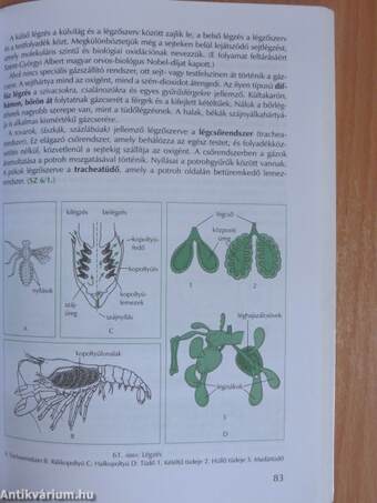 Az élő természet