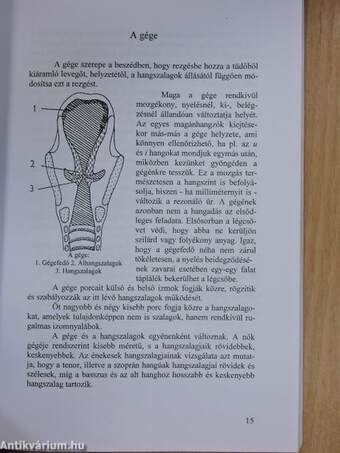 Bevezetés a beszédfogyatékosok pedagógiájába