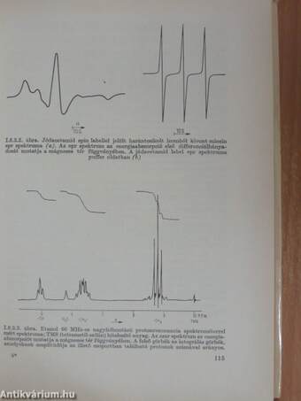 Biofizika