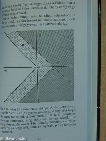 A kutya különös esete az éjszakában