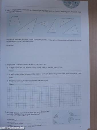 Sokszínű matematika munkafüzet 6.