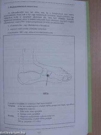 Bevezetés a biorezonancia-terápiába