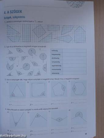 Sokszínű matematika munkafüzet 5.