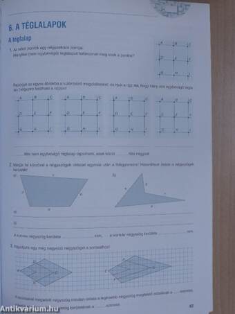 Sokszínű matematika munkafüzet 5.