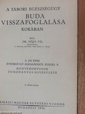 A tábori egészségügy Buda visszafoglalása korában