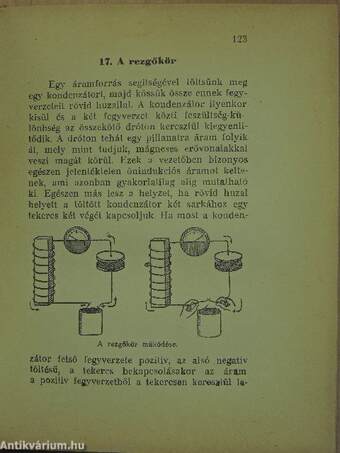 A kis elektrotechnikus