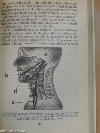 A nyelv és a nyelvek