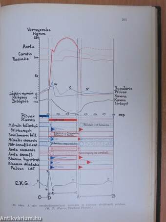 Orvosi élettan I-II.