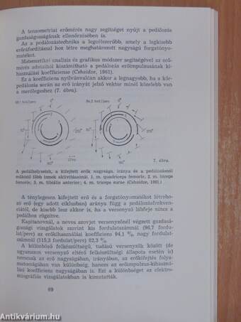 Korszerű edzés - elméleti alapok