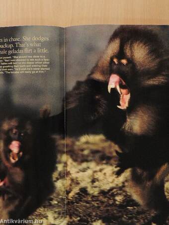 National Geographic November 2002