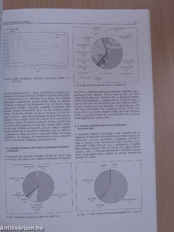 Városi közlekedés 2004. április