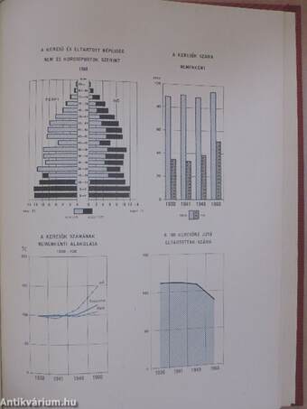 1960. évi népszámlálás 3. j.