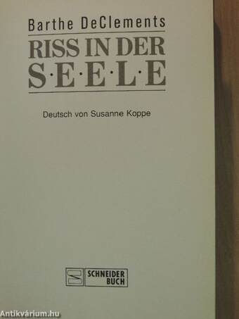 Riss in der seele