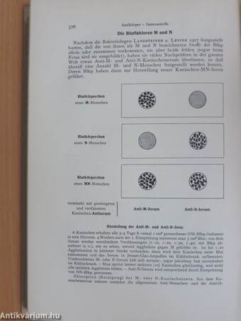 Medizinische Mikrobiologie Parasiten, Bakterien, Immunität II. (töredék)